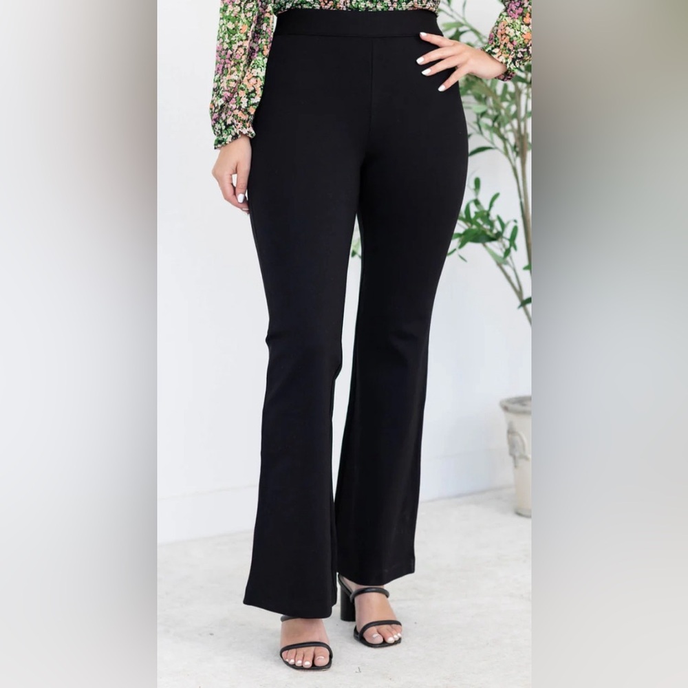 NWOT Z Supply Do It All Flare Pant szLg